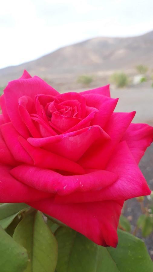 Finca Los Rosales Lajita エクステリア 写真