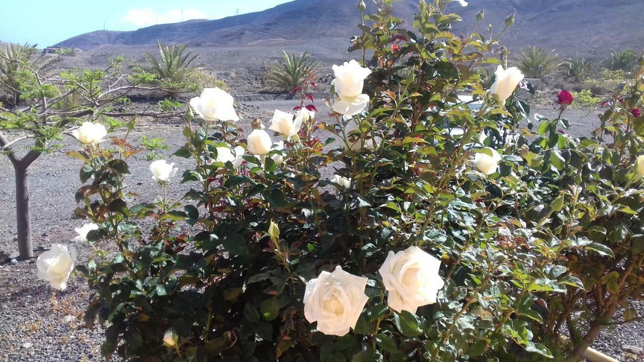 Finca Los Rosales Lajita エクステリア 写真