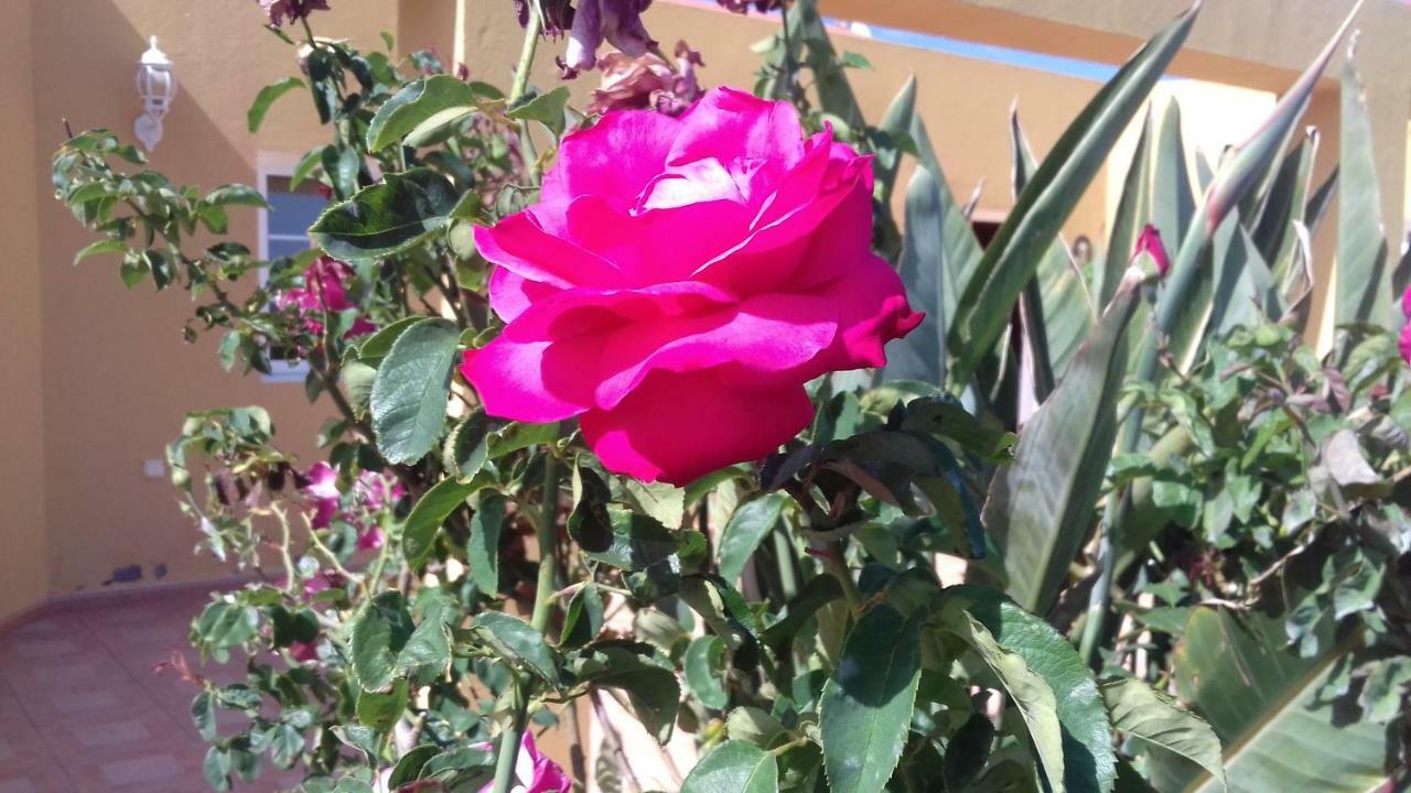 Finca Los Rosales Lajita エクステリア 写真