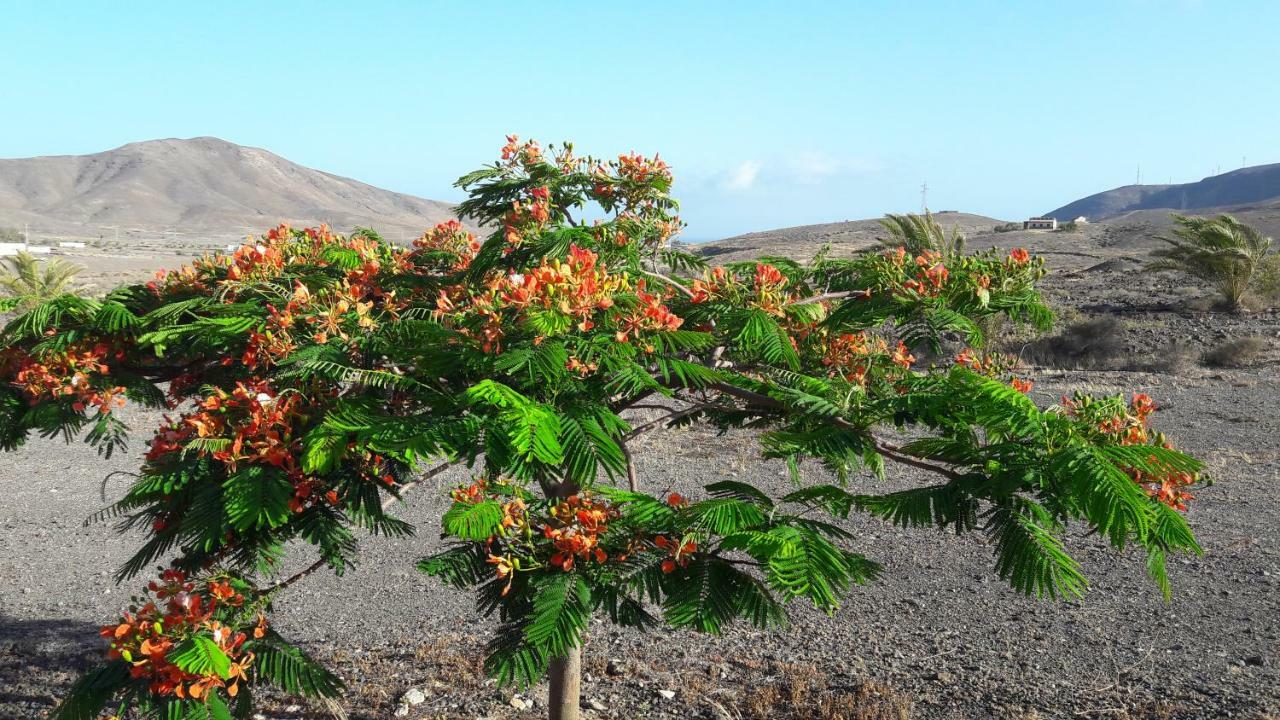 Finca Los Rosales Lajita エクステリア 写真